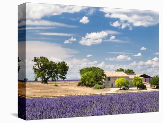 Farmhouse in a Lavender Field, Provence, France-Nadia Isakova-Stretched Canvas