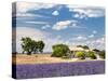 Farmhouse in a Lavender Field, Provence, France-Nadia Isakova-Stretched Canvas