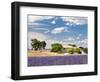 Farmhouse in a Lavender Field, Provence, France-Nadia Isakova-Framed Photographic Print