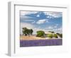 Farmhouse in a Lavender Field, Provence, France-Nadia Isakova-Framed Photographic Print