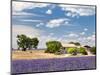 Farmhouse in a Lavender Field, Provence, France-Nadia Isakova-Mounted Photographic Print