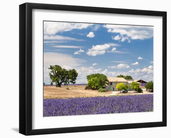 Farmhouse in a Lavender Field, Provence, France-Nadia Isakova-Framed Photographic Print