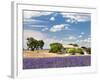 Farmhouse in a Lavender Field, Provence, France-Nadia Isakova-Framed Photographic Print