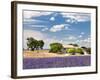 Farmhouse in a Lavender Field, Provence, France-Nadia Isakova-Framed Photographic Print