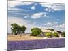 Farmhouse in a Lavender Field, Provence, France-Nadia Isakova-Mounted Photographic Print