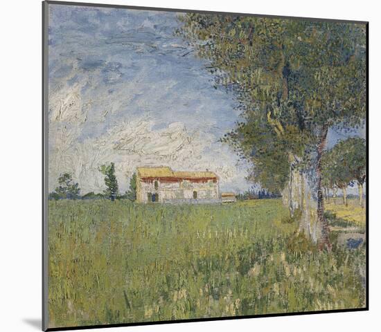 Farmhouse in a Wheat Field, 1888-Vincent van Gogh-Mounted Giclee Print