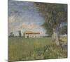 Farmhouse in a Wheat Field, 1888-Vincent van Gogh-Mounted Art Print