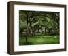 Farmhouse in Normandy, Summer (Hattenville), 1882-Paul Cézanne-Framed Giclee Print