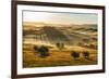 Farmhouse in Val D'orcia after Sunset, Tuscany, Italyd'orcia after Sunset, Tuscany, Italy-fisfra-Framed Photographic Print