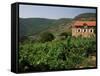 Farmhouse Near Millau, Aveyron, Midi Pyrenees, France-Michael Busselle-Framed Stretched Canvas