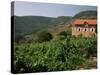 Farmhouse Near Millau, Aveyron, Midi Pyrenees, France-Michael Busselle-Stretched Canvas