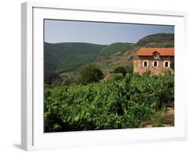 Farmhouse Near Millau, Aveyron, Midi Pyrenees, France-Michael Busselle-Framed Photographic Print