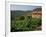 Farmhouse Near Millau, Aveyron, Midi Pyrenees, France-Michael Busselle-Framed Photographic Print