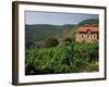 Farmhouse Near Millau, Aveyron, Midi Pyrenees, France-Michael Busselle-Framed Photographic Print
