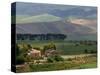 Farmhouse off Route S 122, Caltanissetta, Sicily, Italy-Walter Bibikow-Stretched Canvas