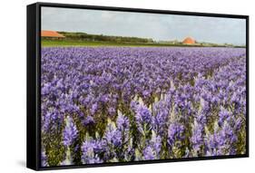 Farmhouse on the Horizon at Dutch Wadden Island Texel-Ivonnewierink-Framed Stretched Canvas