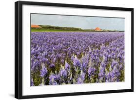 Farmhouse on the Horizon at Dutch Wadden Island Texel-Ivonnewierink-Framed Photographic Print