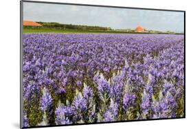 Farmhouse on the Horizon at Dutch Wadden Island Texel-Ivonnewierink-Mounted Photographic Print