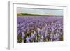 Farmhouse on the Horizon at Dutch Wadden Island Texel-Ivonnewierink-Framed Photographic Print