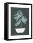 Farmhouse Potted Palm 4-null-Framed Stretched Canvas