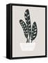 Farmhouse Potted Plant 2-null-Framed Stretched Canvas