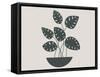 Farmhouse Potted Plant 4-null-Framed Stretched Canvas