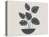 Farmhouse Potted Plant 4-null-Stretched Canvas