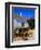 Farmhouse, Silves, Western Algarve, Portugal, Europe-Tom Teegan-Framed Photographic Print