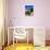 Farmhouse, Silves, Western Algarve, Portugal, Europe-Tom Teegan-Photographic Print displayed on a wall