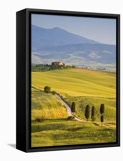 Farmhouse, Val D' Orcia, Tuscany, Italy-Doug Pearson-Framed Stretched Canvas