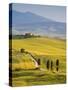 Farmhouse, Val D' Orcia, Tuscany, Italy-Doug Pearson-Stretched Canvas