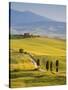 Farmhouse, Val D' Orcia, Tuscany, Italy-Doug Pearson-Stretched Canvas