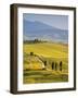 Farmhouse, Val D' Orcia, Tuscany, Italy-Doug Pearson-Framed Photographic Print