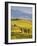 Farmhouse, Val D' Orcia, Tuscany, Italy-Doug Pearson-Framed Photographic Print