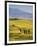 Farmhouse, Val D' Orcia, Tuscany, Italy-Doug Pearson-Framed Photographic Print