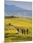 Farmhouse, Val D' Orcia, Tuscany, Italy-Doug Pearson-Mounted Photographic Print