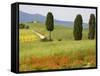 Farmhouse, Val D' Orcia, Tuscany, Italy-Doug Pearson-Framed Stretched Canvas