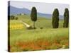 Farmhouse, Val D' Orcia, Tuscany, Italy-Doug Pearson-Stretched Canvas