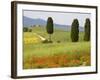 Farmhouse, Val D' Orcia, Tuscany, Italy-Doug Pearson-Framed Photographic Print