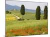 Farmhouse, Val D' Orcia, Tuscany, Italy-Doug Pearson-Mounted Photographic Print