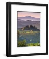 Farmhouse, Val D' Orcia, Tuscany, Italy-Doug Pearson-Framed Photographic Print