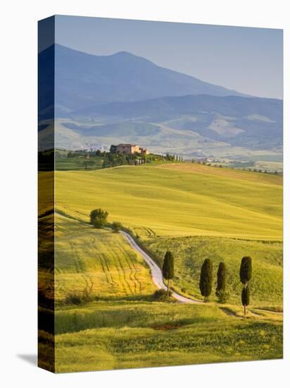 Farmhouse, Val D' Orcia, Tuscany, Italy-Doug Pearson-Stretched Canvas