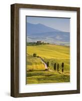 Farmhouse, Val D' Orcia, Tuscany, Italy-Doug Pearson-Framed Photographic Print