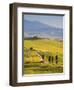 Farmhouse, Val D' Orcia, Tuscany, Italy-Doug Pearson-Framed Photographic Print