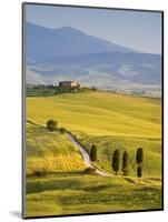 Farmhouse, Val D' Orcia, Tuscany, Italy-Doug Pearson-Mounted Photographic Print