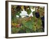 Farmhouse View Through Grapevine, Tuscany, Italy-John & Lisa Merrill-Framed Photographic Print