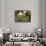 Farmhouse View Through Grapevine, Tuscany, Italy-John & Lisa Merrill-Photographic Print displayed on a wall