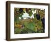 Farmhouse View Through Grapevine, Tuscany, Italy-John & Lisa Merrill-Framed Photographic Print