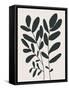 Farmhouse Wild Botanicals 1-null-Framed Stretched Canvas