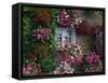 Farmhouse Window Surrounded by Flowers, Ille-et-Vilaine, Brittany, France, Europe-Tomlinson Ruth-Framed Stretched Canvas